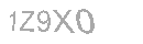 Güvenlik Kodu