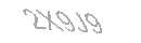 Güvenlik Kodu