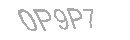 Güvenlik Kodu