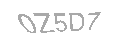 Güvenlik Kodu