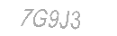Güvenlik Kodu