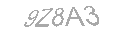 Güvenlik Kodu