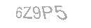 Güvenlik Kodu