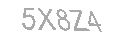 Güvenlik Kodu