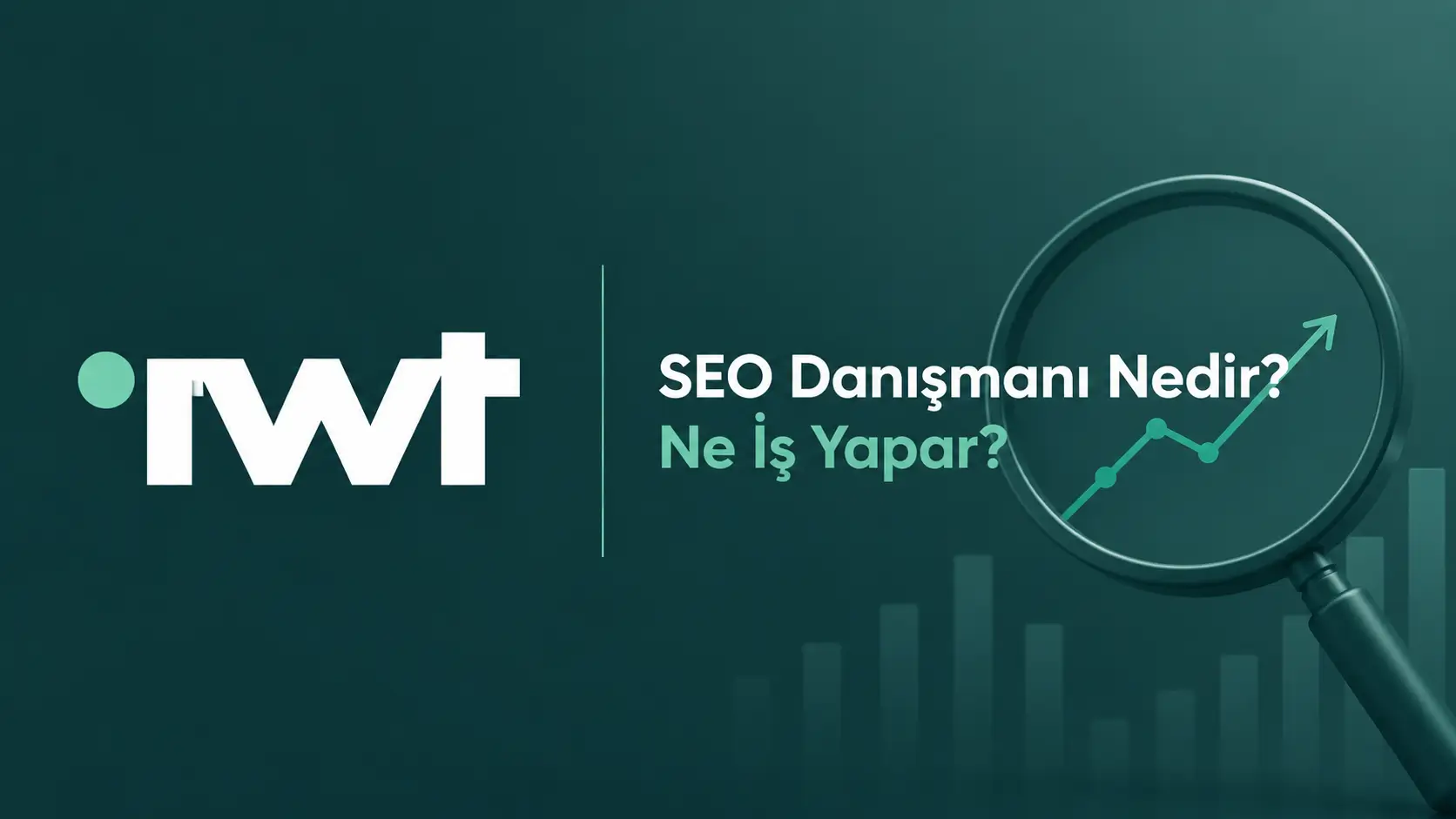 SEO Danışmanı Nedir? Ne İş Yapar?