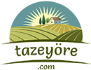 Taze Yöre